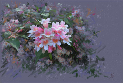 794022 (a): :4000x2704